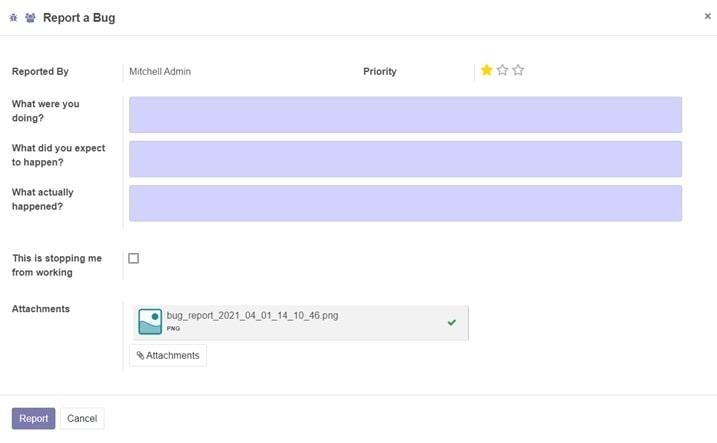 Form to report a bug in odoo